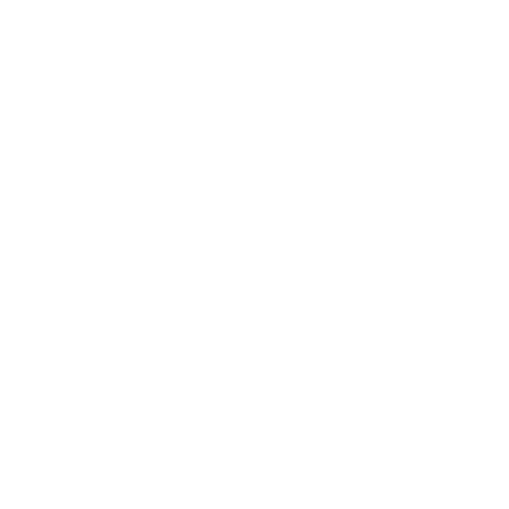 Silent Shift Studio Logo